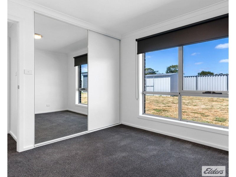 893 Ridgley Highway, Ridgley TAS 7321