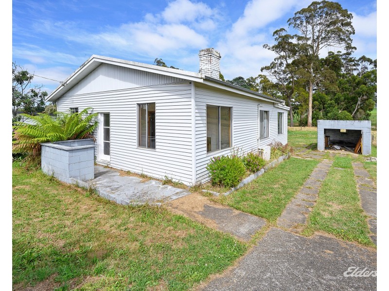 962 Ridgley Highway, Ridgley TAS 7321