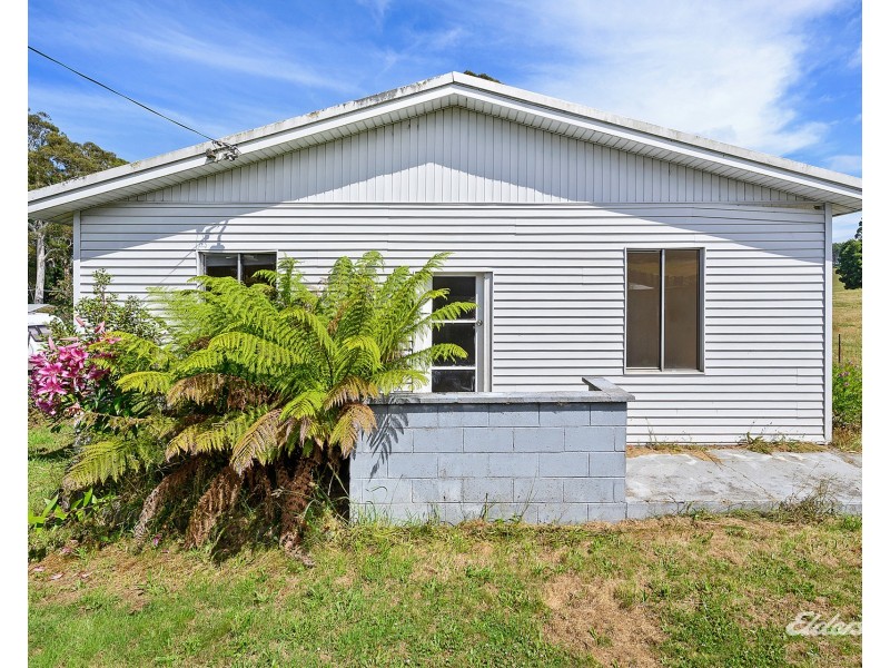962 Ridgley Highway, Ridgley TAS 7321