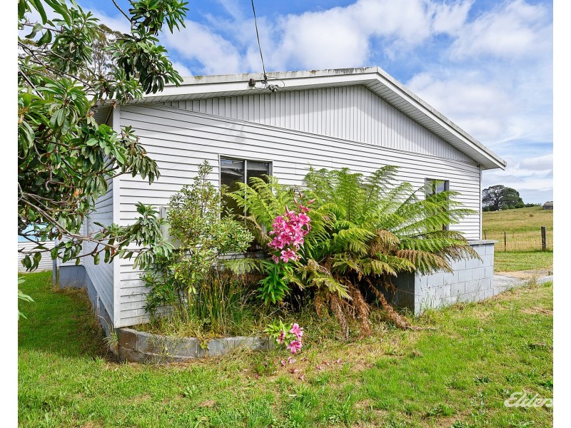 962 Ridgley Highway, Ridgley TAS 7321