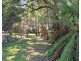 1 Vivian Street, Strahan TAS 7468
