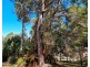 1 Vivian Street, Strahan TAS 7468