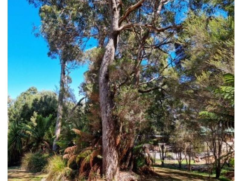 1 Vivian Street, Strahan TAS 7468