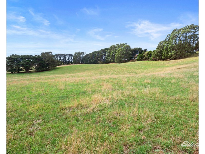 592 Murchison Highway, Elliott TAS 7325
