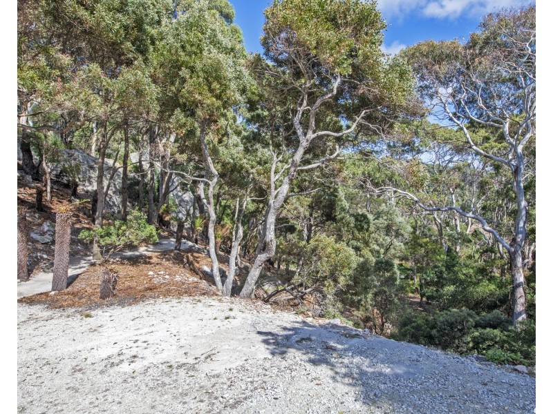 317 Port Road, Boat Harbour Beach TAS 7321