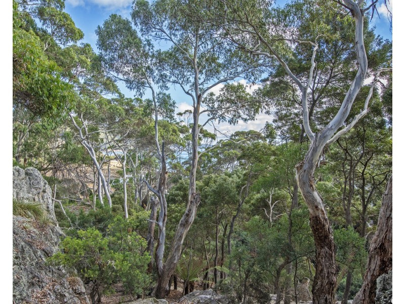 317 Port Road, Boat Harbour Beach TAS 7321