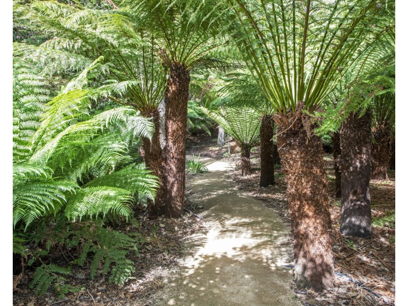 317 Port Road, Boat Harbour Beach TAS 7321