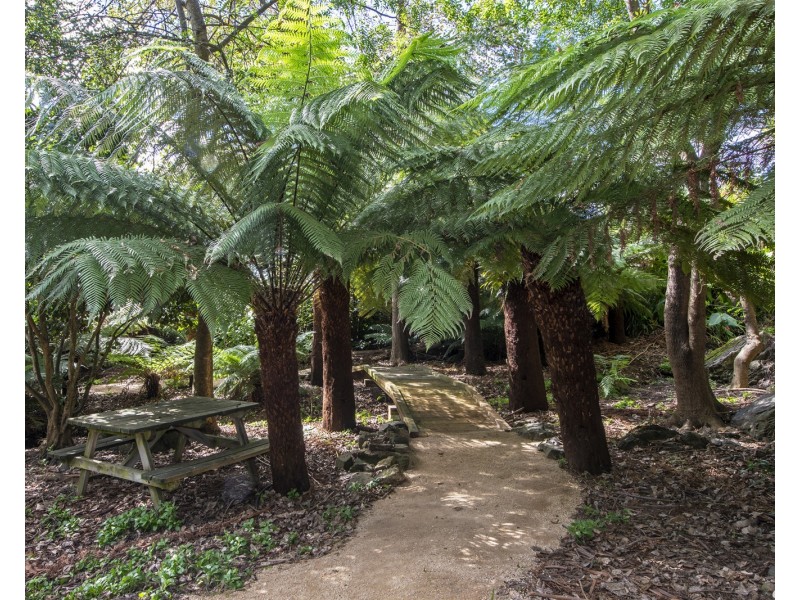 317 Port Road, Boat Harbour Beach TAS 7321