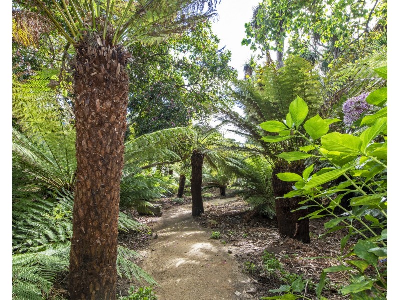 317 Port Road, Boat Harbour Beach TAS 7321