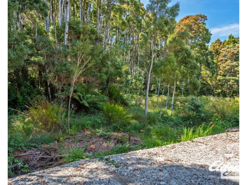 54 Henty Road, Strahan TAS 7468