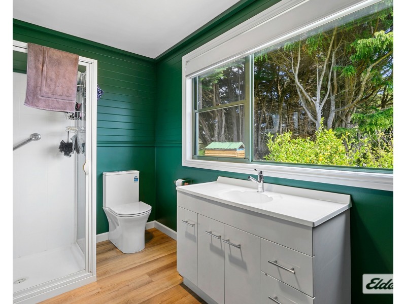 81 Three Mile Line Road, Mooreville TAS 7321