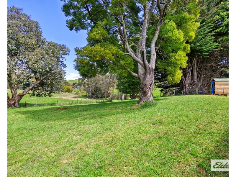 81 Three Mile Line Road, Mooreville TAS 7321