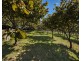 399 Murchison Highway, Somerset TAS 7322