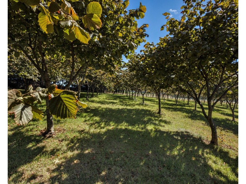 399 Murchison Highway, Somerset TAS 7322