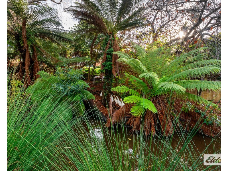 4 Hodgman Street, Burnie TAS 7320