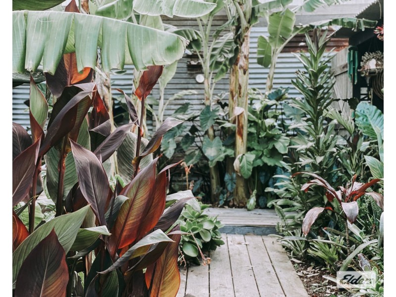 547 Lake Tyers Beach Road, Lake Tyers Beach VIC 3909