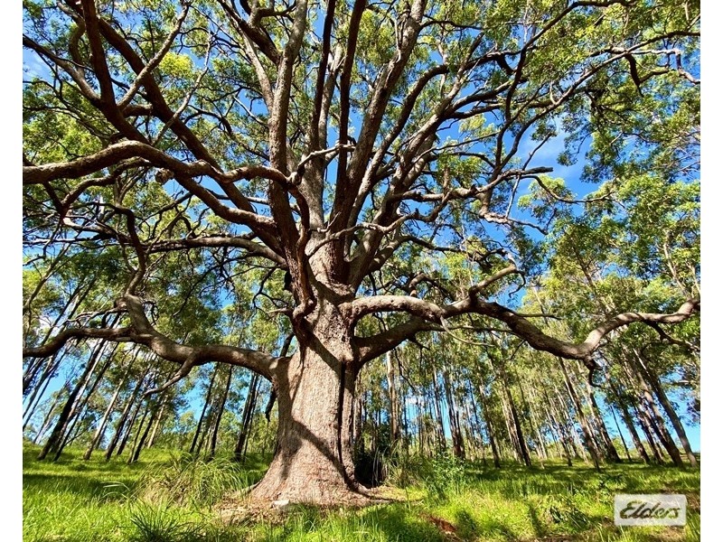 Lot Lots, 61 & 62 Lower Kangaroo Creek Road, Coutts Crossing NSW 2460