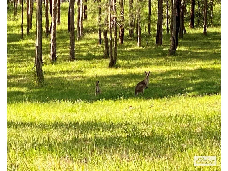 Lot Lots, 61 & 62 Lower Kangaroo Creek Road, Coutts Crossing NSW 2460