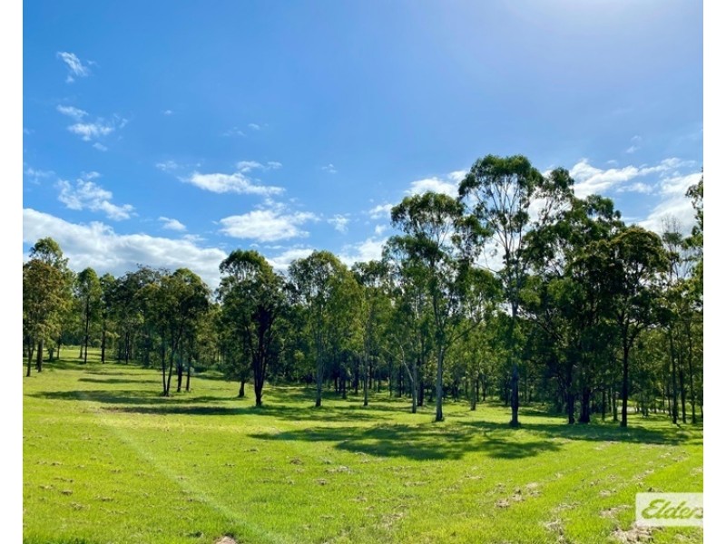 Lot Lots, 61 & 62 Lower Kangaroo Creek Road, Coutts Crossing NSW 2460
