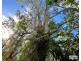 Lot Lots, 61 & 62 Lower Kangaroo Creek Road, Coutts Crossing NSW 2460