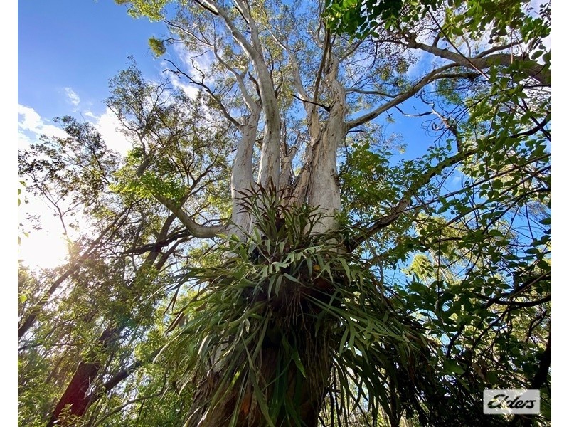 Lot Lots, 61 & 62 Lower Kangaroo Creek Road, Coutts Crossing NSW 2460