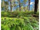 Lot Lots, 61 & 62 Lower Kangaroo Creek Road, Coutts Crossing NSW 2460
