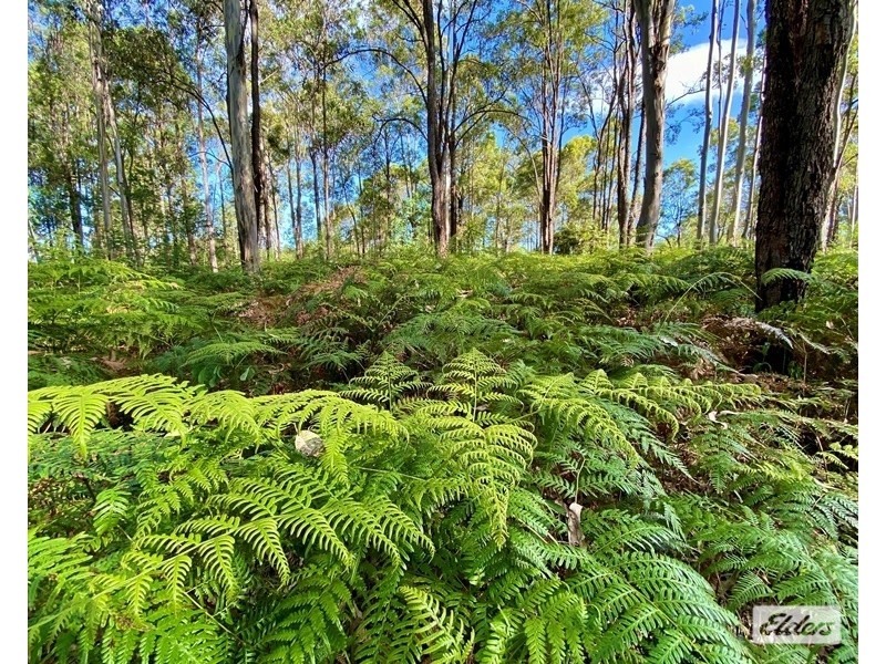 Lot Lots, 61 & 62 Lower Kangaroo Creek Road, Coutts Crossing NSW 2460