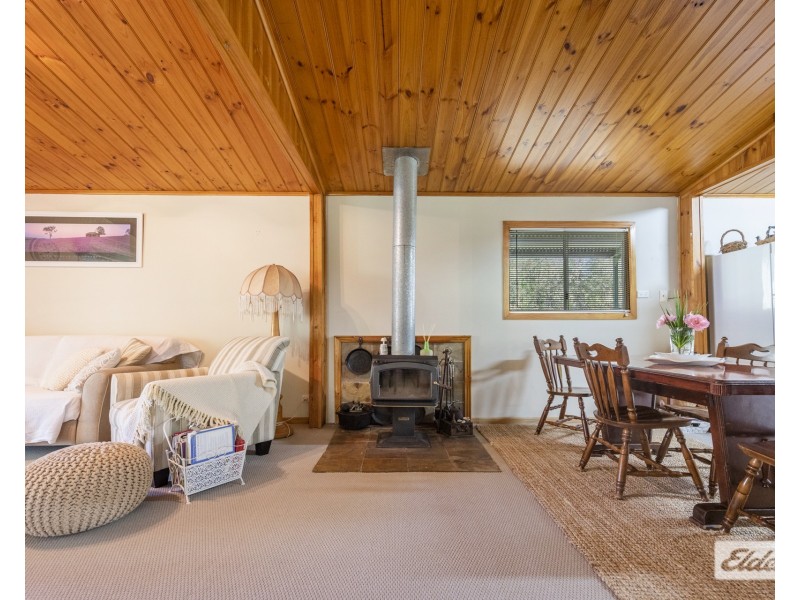 390 Shannondale Road, Shannondale NSW 2460