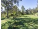 390 Shannondale Road, Shannondale NSW 2460