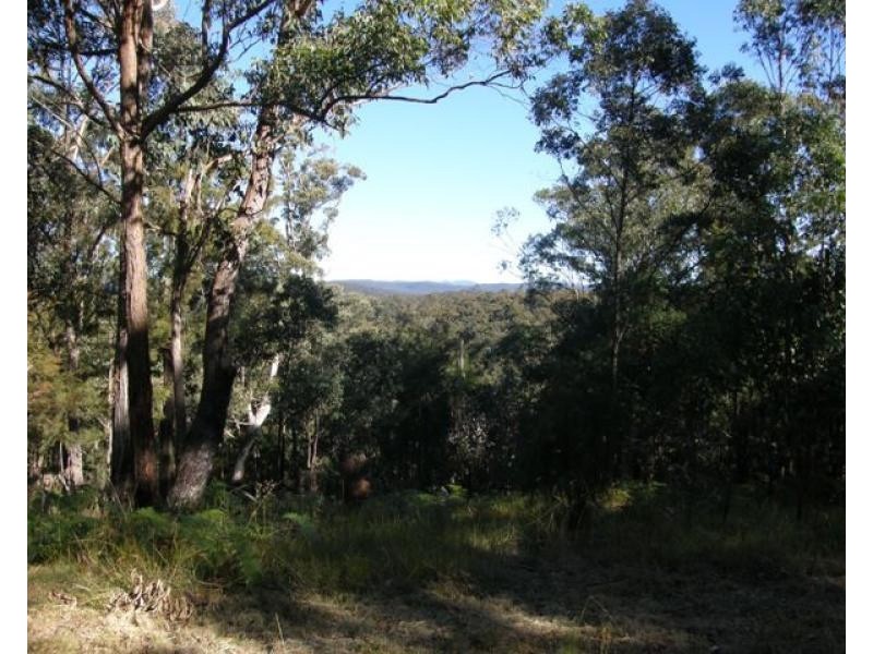 2533 Blacksmith Shop Road, Newton Boyd NSW 2370