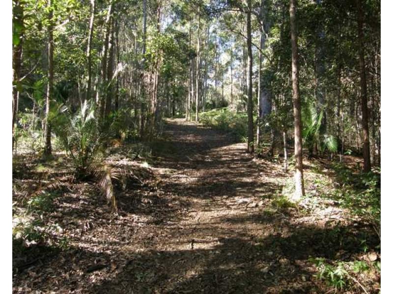 2533 Blacksmith Shop Road, Newton Boyd NSW 2370