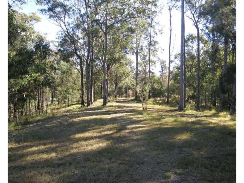 2533 Blacksmith Shop Road, Newton Boyd NSW 2370