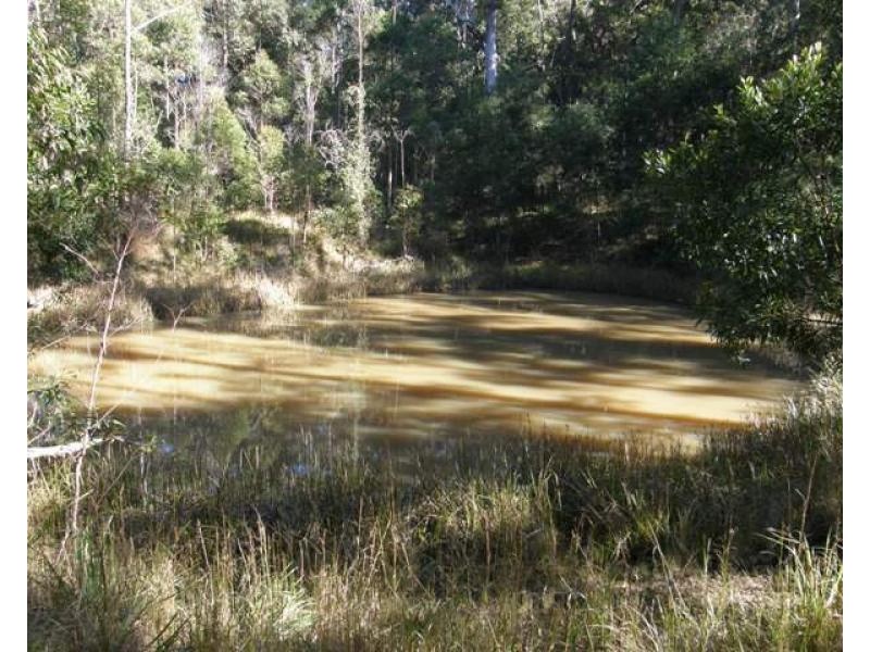 2533 Blacksmith Shop Road, Newton Boyd NSW 2370