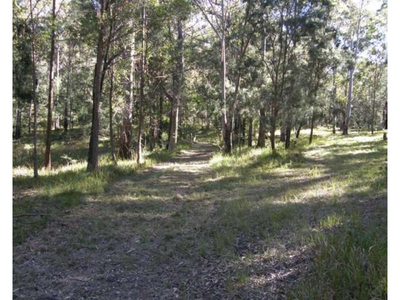 2533 Blacksmith Shop Road, Newton Boyd NSW 2370