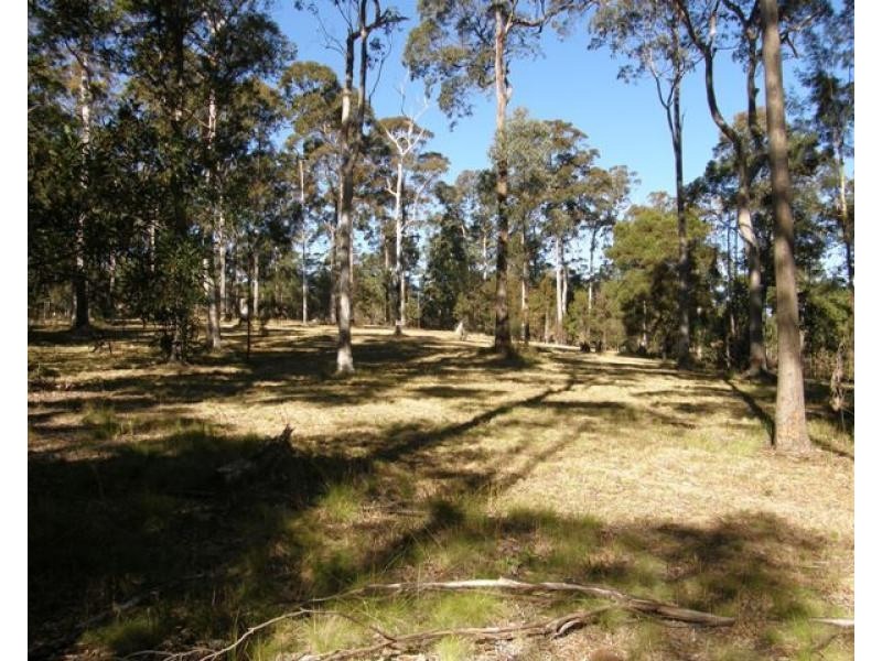 2533 Blacksmith Shop Road, Newton Boyd NSW 2370