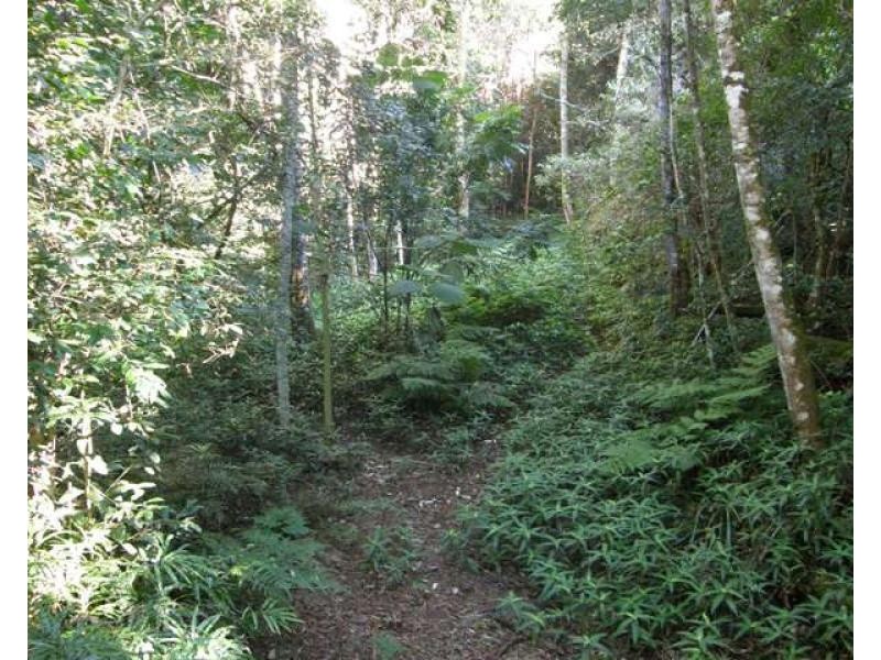 2533 Blacksmith Shop Road, Newton Boyd NSW 2370