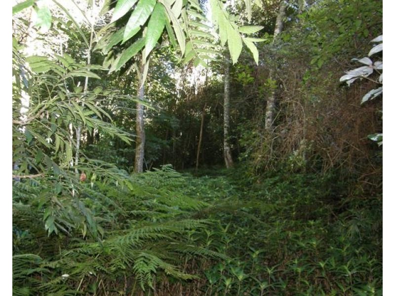 2533 Blacksmith Shop Road, Newton Boyd NSW 2370