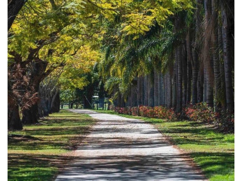 7 Bangalow Crescent, Grafton NSW 2460