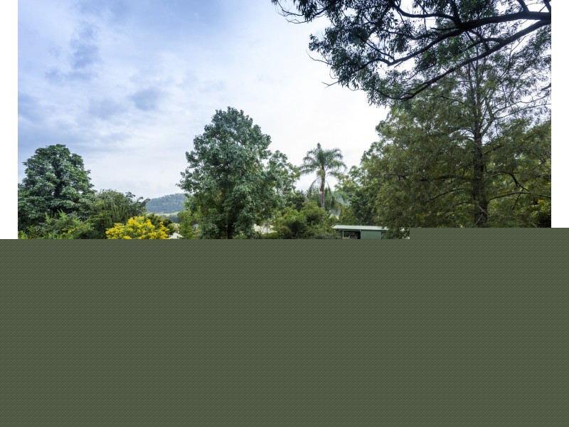 2469 Kangaroo Creek Road, Kangaroo Creek NSW 2460