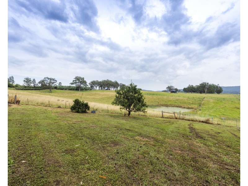 2469 Kangaroo Creek Road, Kangaroo Creek NSW 2460