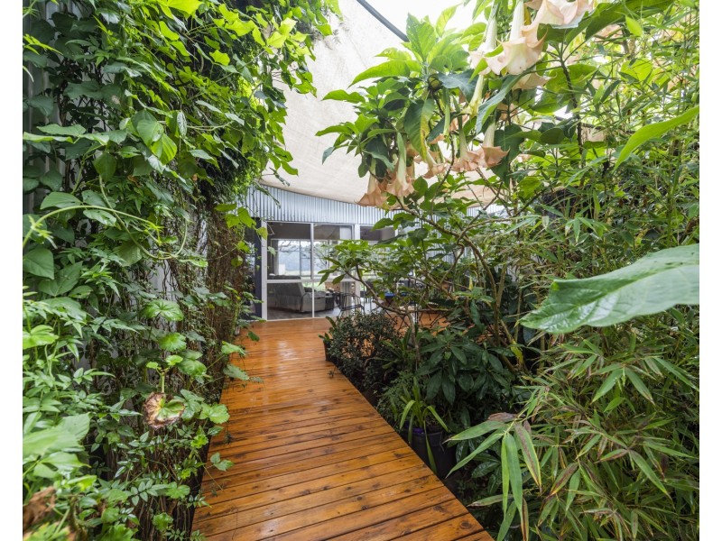 2469 Kangaroo Creek Road, Kangaroo Creek NSW 2460