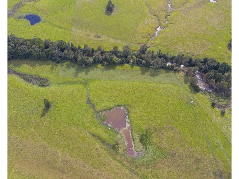 2469 Kangaroo Creek Road, Kangaroo Creek NSW 2460