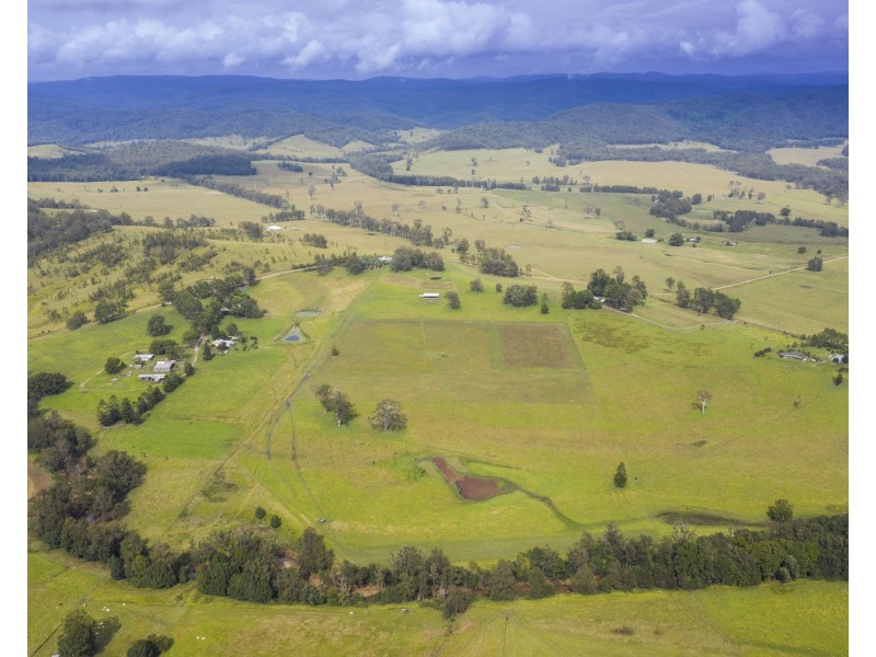 2469 Kangaroo Creek Road, Kangaroo Creek NSW 2460