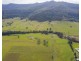 2469 Kangaroo Creek Road, Kangaroo Creek NSW 2460