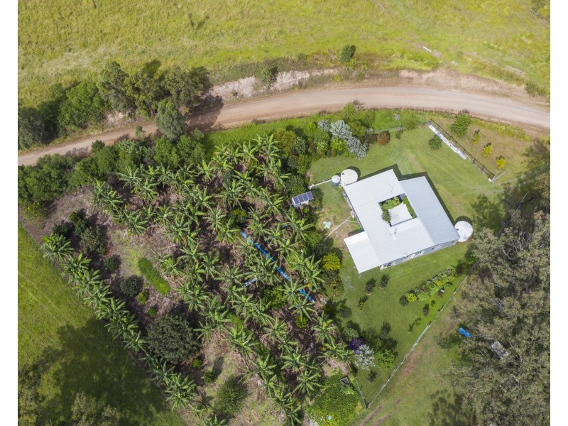 2469 Kangaroo Creek Road, Kangaroo Creek NSW 2460
