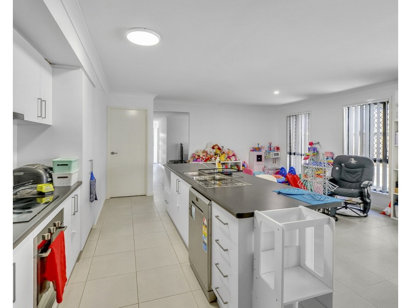 17 Finlayson Street, Spring Mountain QLD 4124