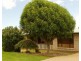 37 Lorraine Crescent, Centenary Heights QLD 4350