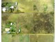 585 Drayton Wellcamp Road, Wellcamp QLD 4350