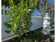 226 South Street, South Toowoomba QLD 4350