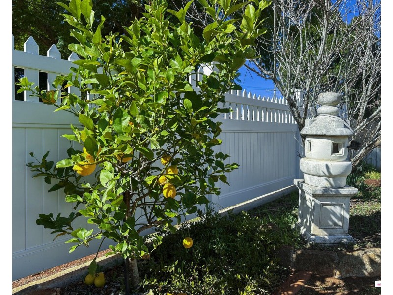 226 South Street, South Toowoomba QLD 4350